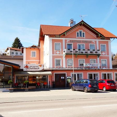 Hotel Gasthof Forelle ジークスドルフ エクステリア 写真