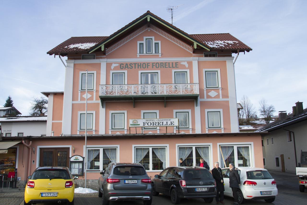 Hotel Gasthof Forelle ジークスドルフ エクステリア 写真