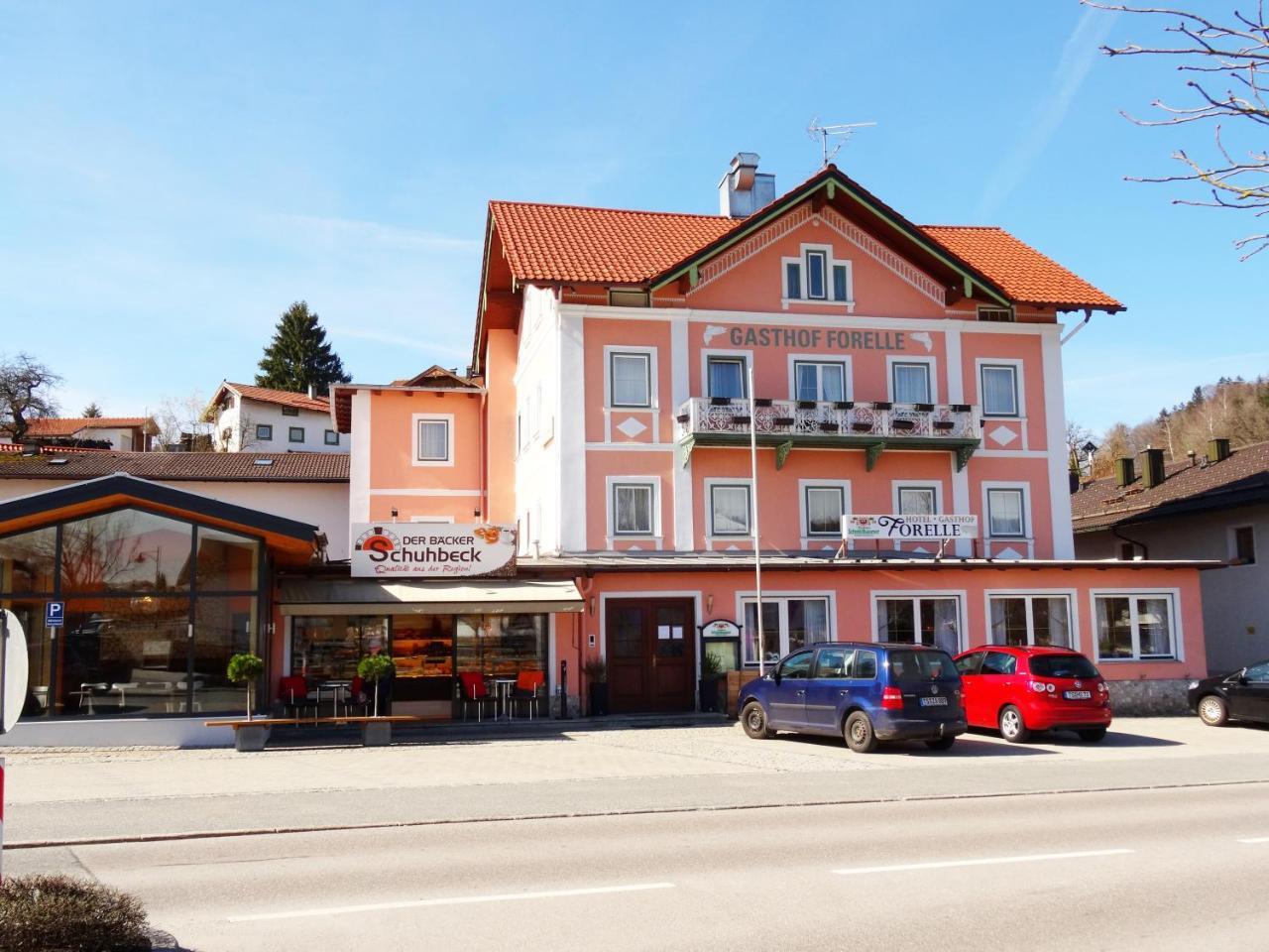 Hotel Gasthof Forelle ジークスドルフ エクステリア 写真